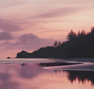 Tarot Reading 15 Minutes